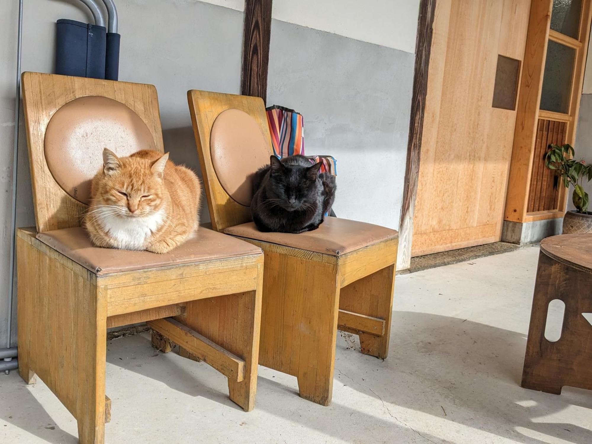 Library&Inn with Cats Kusachike Minamiawaji Exterior foto