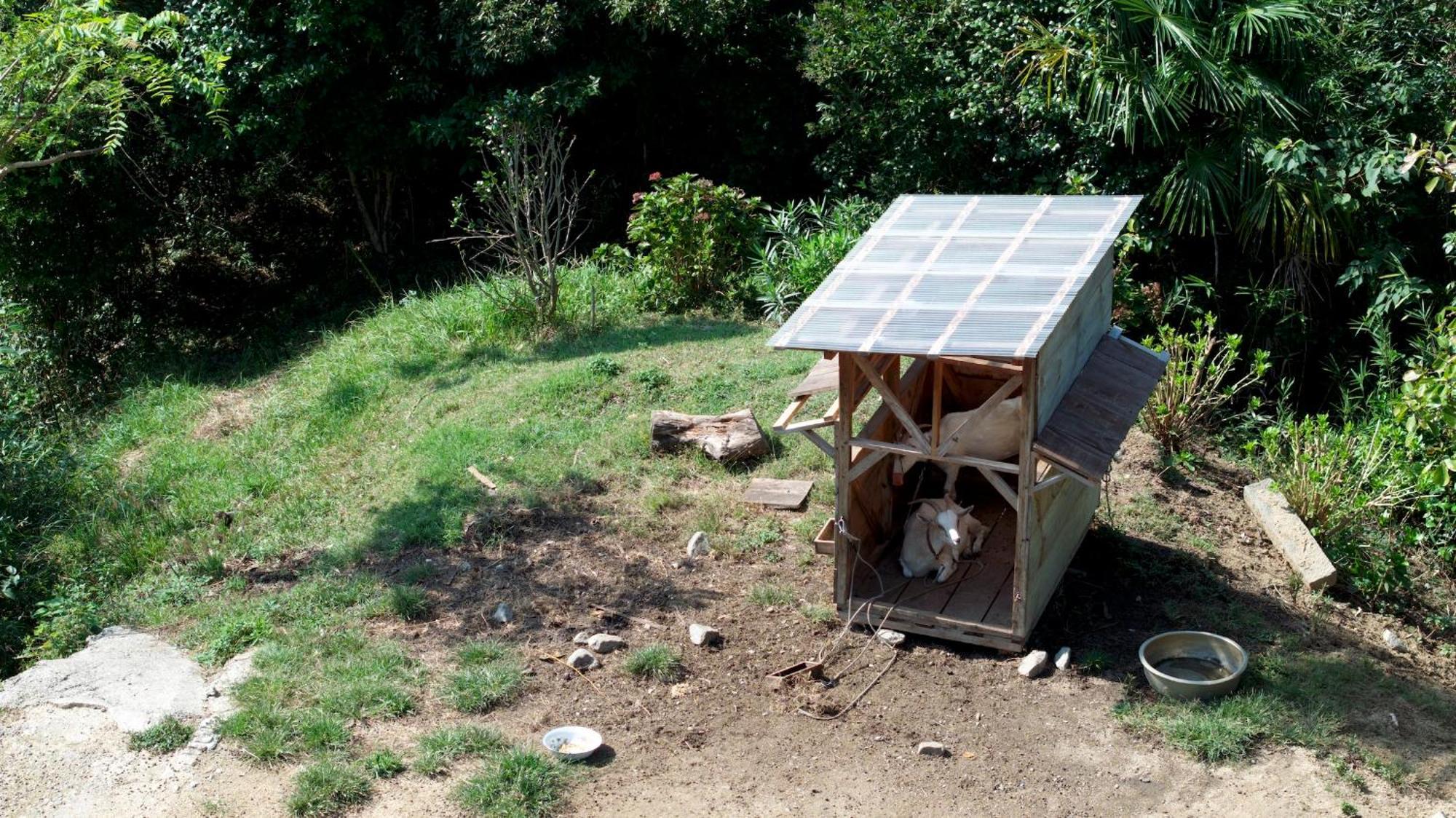 Library&Inn with Cats Kusachike Minamiawaji Exterior foto