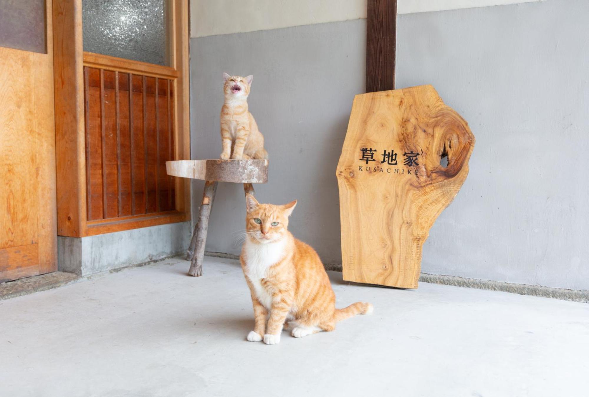 Library&Inn with Cats Kusachike Minamiawaji Exterior foto